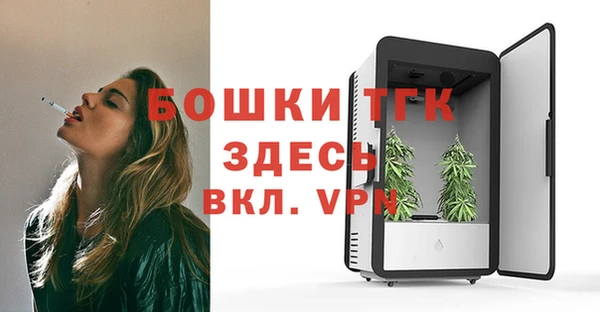 молекула духа Волоколамск