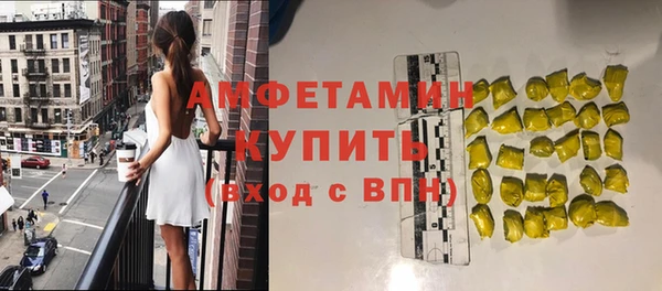 молекула духа Волоколамск